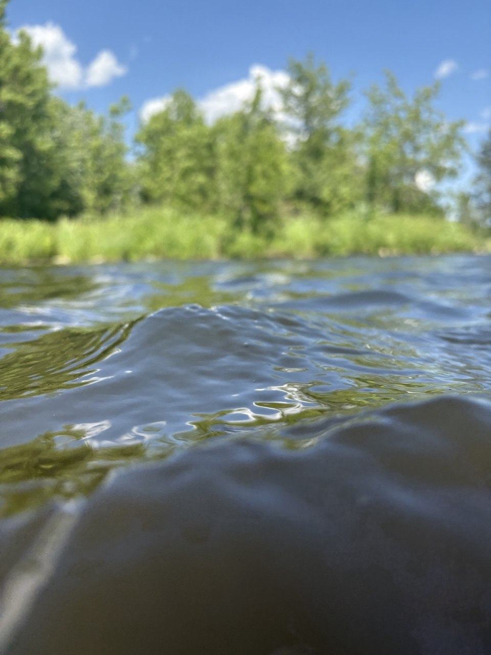 Открытая вода реки Лугавки
